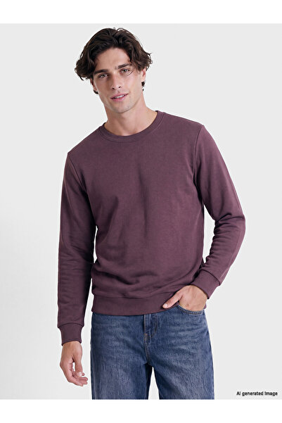 LC Waikiki Vizyon New Season Plum Color Crew Neck Men's Thick Sweatshirt