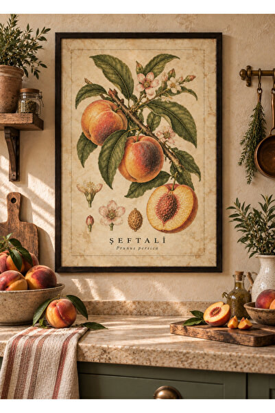 OAKY Life Vintage Botanik Tablo – Çerçeve Görünümlü MDF Meyve ve Sebze Temalı...