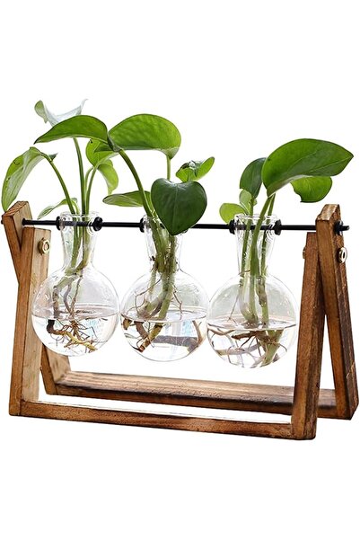 GENERAL Glass Desktop Planter with Retro Wooden Stand and Plant Terrarium Vas...