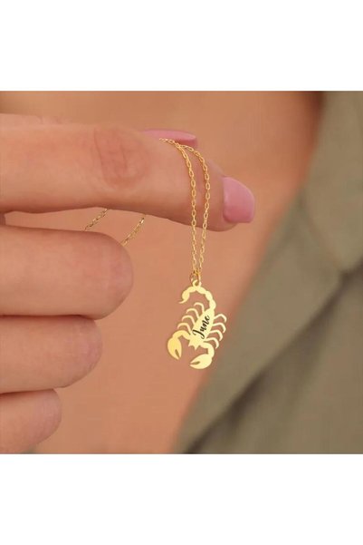 N!da Jewelry 925 Ayar Gümüş Şık Akrep Figürlü İsim Kolye