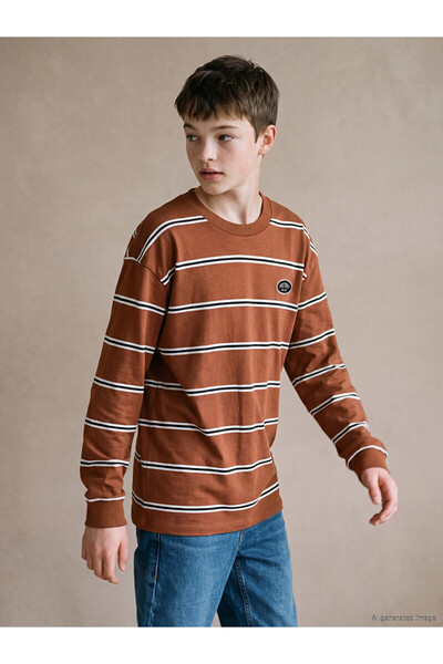 LC Waikiki Two Mt Shop Quality Lcw Kids Brown Oval Collar Striped Boys' T-Shirt