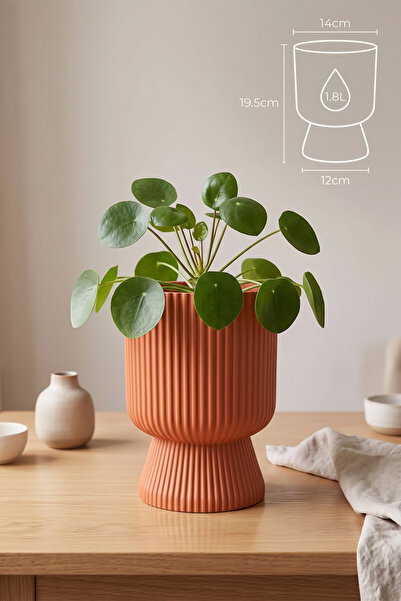ToXA Ayaklı Deliksiz Saksı 14 cm (1,8 Litre) Dekoratif Plastik Çiçek Saksısı