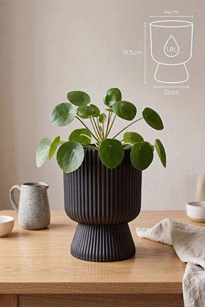 ToXA Ayaklı Deliksiz Saksı 14 cm (1,8 Litre) Dekoratif Plastik Çiçek Saksısı