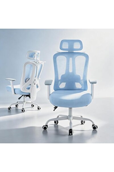 subminimal Ergonomic Office Chair, Computer Chair with Adjustable Headrest & ...