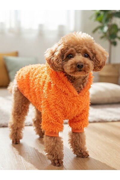 Barneystore Kedi Köpek Kıvırcık Kapüşonlu Sweat