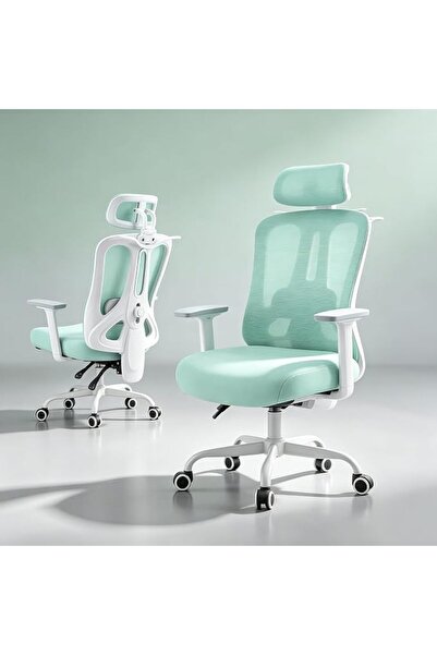 subminimal Desk Chair, Ergonomic Office Chair, Home Office Chair for Work, Me...