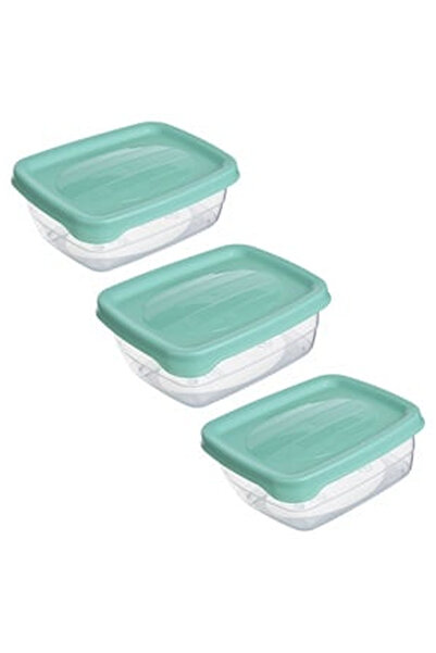 OEM Transparent Mint Green Food Containers - 3 pcs.