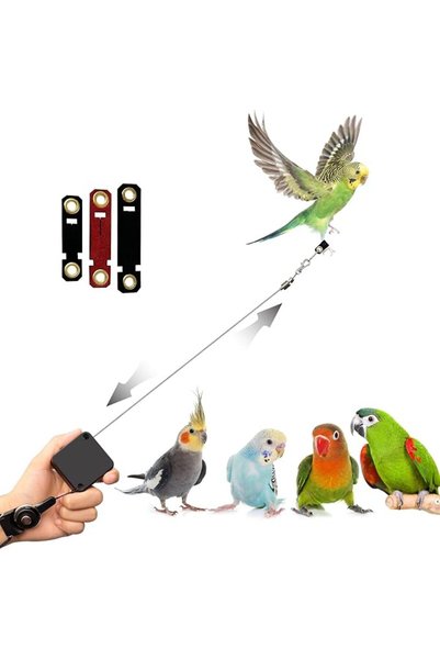 ANYUAN Bird Leash,Bird Harness,Retractable Anti-Bite Parrot Harness,with 3 Di...