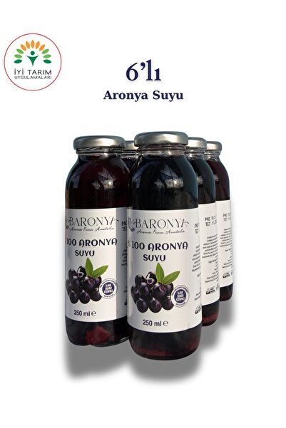 Soğuk Sıkım Katkısız %100 Aronya Suyu 6 Adet 250ml