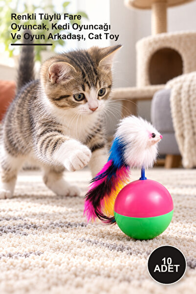Yenilig 10 Pieces of Cat Hacı Yatmaz Game - Colorful Furry Mouse Toy, Cat Toy...