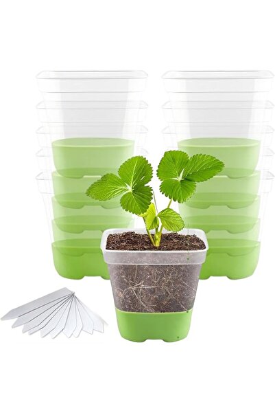 GENERAL 12 Cells Seed Starter Kit, Transparent Seed Starter Tray with Silicon...