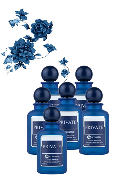 ALHAMIDI 6 Pieces Private Perfume 100 ML