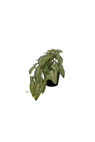 B&D Artificial Plant – Decorative Greenery for Home, Office and Interior Décor