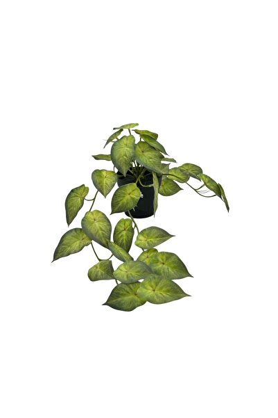 B&D Artificial Plant – Decorative Greenery for Home and Office