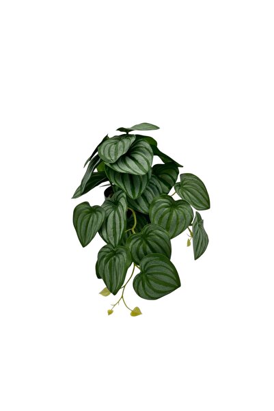 B&D Artificial Plant – Decorative Greenery for Home, Office and Interior Décor