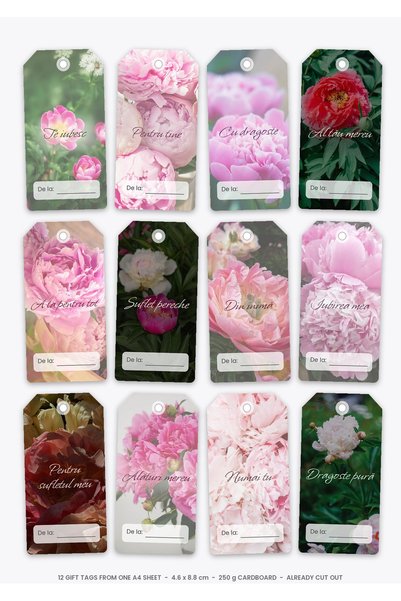 OEM True Love Gift Tags Set, 12 Pieces, 250g Cardboard, Die-cut