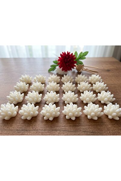 PixiWallArt Nişan, Kına Hediyesi Çiçek Mum 24lü set