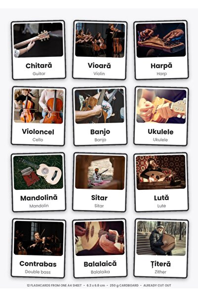 OEM Stringed Instruments Flashcards, 12 educational Romanian-English cards, 2...
