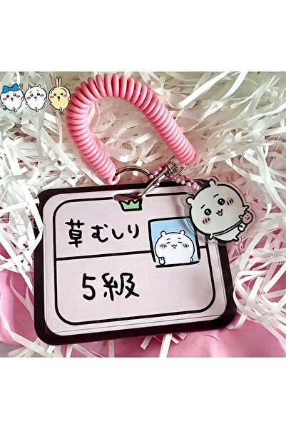 Choice B Cute Chiikawa Hachiware Usagi Card Holder for Student School ID Meal...