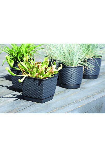 Prosperplast Ghiveci rotund RATOLLA - UMBRA - PP-DRLO300U