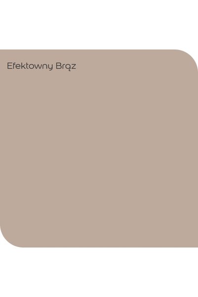 DULUX EasyCare vopsea latex pentru pereți Efect Maro mat 2,5L