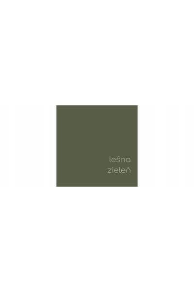 DULUX EasyCare vopsea latex de perete Verde Pădure mat 2,5L