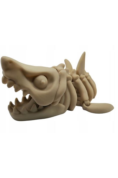 NO BRAND Schelet 3D articulat Rechin Mare MEGALODON 20cm Dinozaur