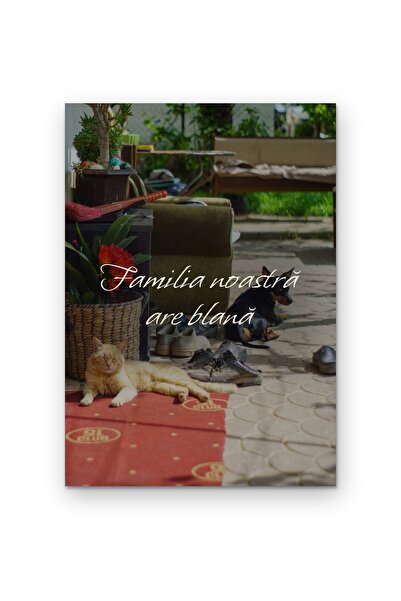 OEM Poster Arta de Perete Familia noastra are blana, Citat inspirational, Car...