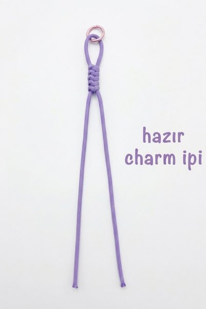 hobi dünyası evim Hazır 4 mm Renkli Klipsli Charm İpi Telefon Çanta Anahtarlı...