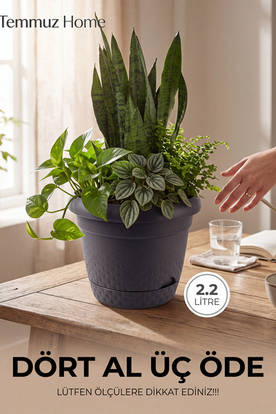 TEMMUZ HOME Tabaklı Dekoratif Saksı - Modern İç ve Dış Mekan Çiçeklik(Tüm ölç...