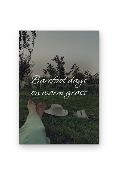 OEM Poster decorativ Zile desculti pe iarba calda, design minimalist, Carton ...