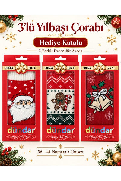 Dündar 3-Piece Gift Boxed Christmas Stockings Santa Claus, Cookie Man and Bel...
