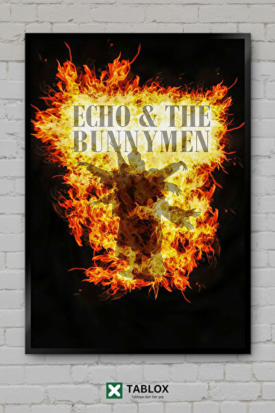 tablomaxtbx Echo the Bunnymen Rock Music Group Poster Frame Look Decorative M...