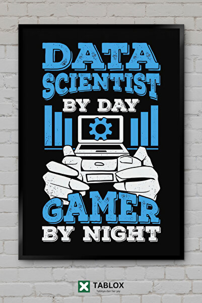 tablomaxtbx Data Scientist Data Scientist Gamer Gamer Gaming Poster Uramljeni...