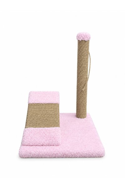 Rampalı kedi tırmalama