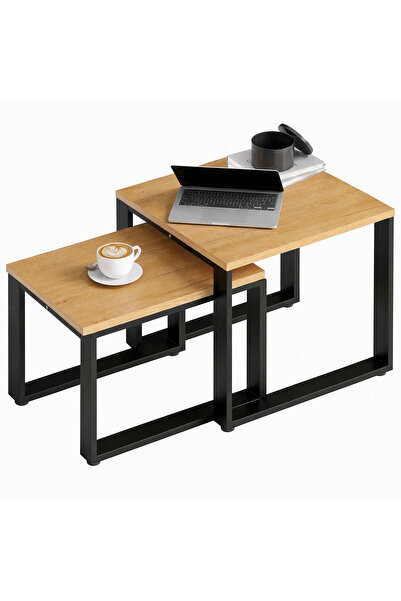 Generic Brand Set de 2 măsuțe de cafea cu cadru metalic pentru living, finisaj