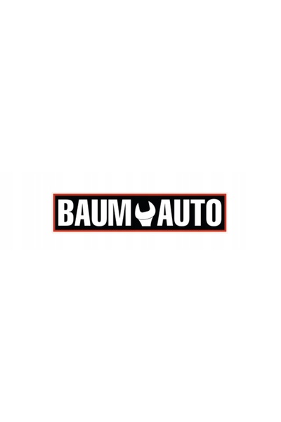 BaumAuto Trusă de scule, set de scule, chei, tubulare, clicheturi 4-22mm 82 p...