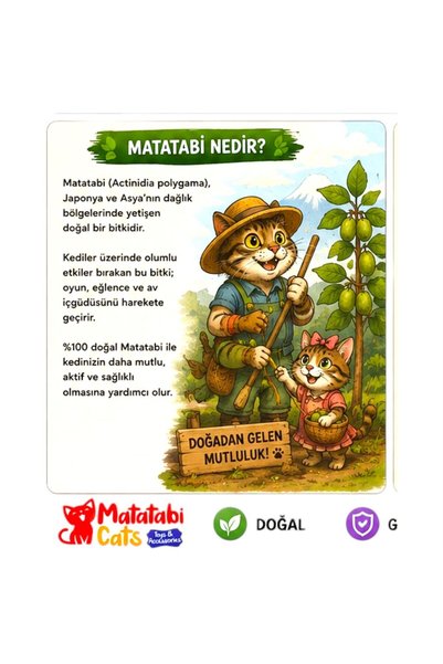MATATABİ CATS Natural Matatabi Stick with Ah Sapli, Feather Rattle Cat Fishing Rod Cat Toy 42 cm
