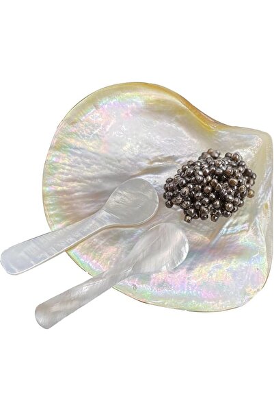 EXCEFORE Caviar Plate & Spoons Set, Mother of Pearl Caviar Serving Set for Ti...