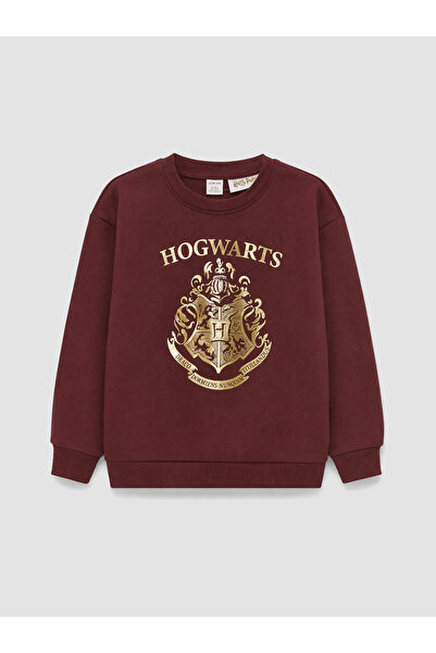 LC Waikiki Harry Potter Printed Boys' Thick Sweatshirt