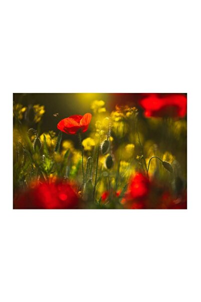 OEM Tablou canvas Red and Yellow, SimplyArt, panza + sasiu MDF, 40 x 60 cm
