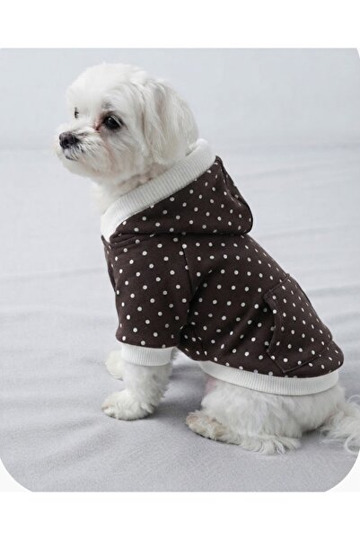 atelyu Cat Dog Outfit Coffee Polka Dot Thin Sweatshirt