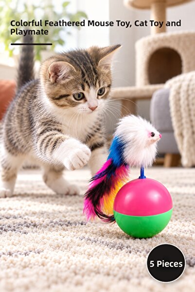 Yenilig 5 Pieces of Cat Hacı Yatmaz Game - Colorful Furry Mouse Toy, Cat Toy ...