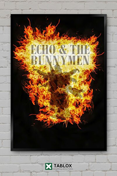 tablomaxtbx Echo the Bunnymen Rock Music Group Poster Framed Decorative Mdf P...