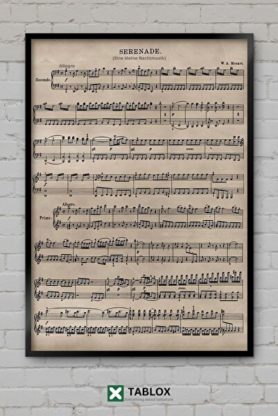 tablomaxtbx Unele mici melodii de noapte Mozart Muzică clasică Poster cu aspe...
