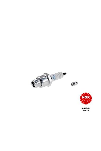 NGK Spark Plug 3922