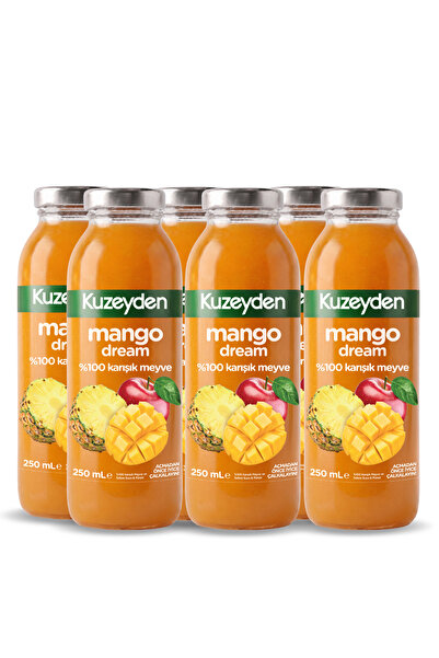 KUZEYDEN %100 Karışık Meyve Mango Suyu | 6x250ml | İlave şeker, katkı ve koru...