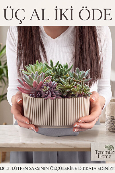 TEMMUZ HOME 2 No 1,8 Litre Pera Aranjman Saksı Plastik Bitki Çiçek Saksısı