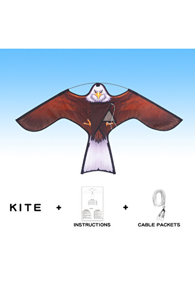 Choice Picture Color YongJian 1.2 Drive Bird Eagle Kite for Garden Decoration...