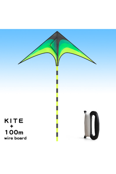 Choice green Adult-sized large delta-wing kite. Easy to fly. Extra-large delt...